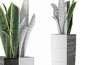 plants collection 100 3D Model