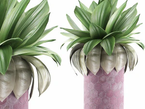 collezione di piante 101 Modello 3D