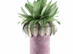 plants collection 101 3D Model