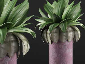 plants collection 101 3D मॉडल