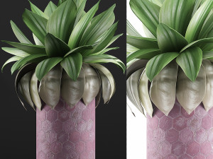 plants collection 101 3D मॉडल