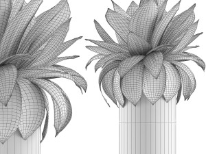 plants collection 101 3D मॉडल