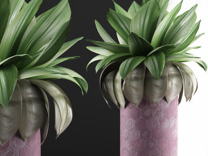 plants collection 101 3D मॉडल