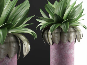 plants collection 101 3D Model