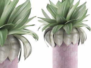 plants collection 101 3D मॉडल