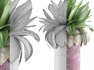 plants collection 101 3D Model