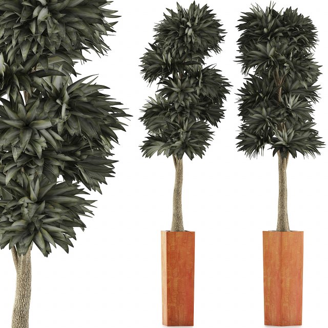 plants collection 102 Model 3D .c4d .max .obj .3ds .fbx .stl .blend 
