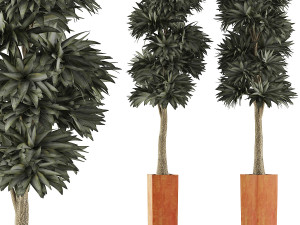 plants collection 102 3D Model