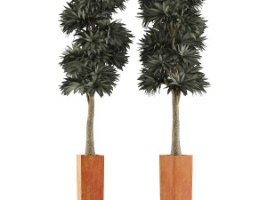 plants collection 102 Model 3D