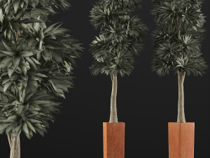 plants collection 102 Model 3D