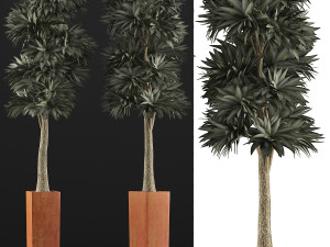 plants collection 102 Model 3D