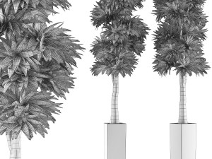 plants collection 102 Model 3D