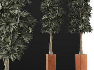 plants collection 102 Model 3D