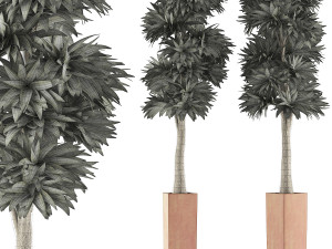 plants collection 102 Model 3D