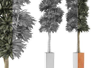 plants collection 102 Model 3D