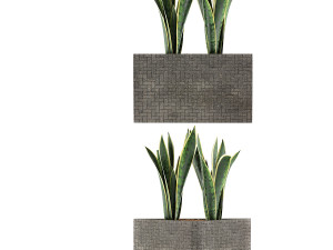 plants collection 103 3D Model