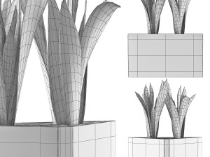 plants collection 103 3D Model