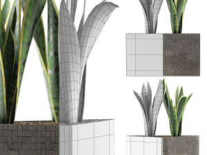 plants collection 103 3D Model