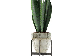 식물 수집 104 3D 모델