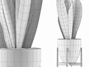 식물 수집 104 3D 모델