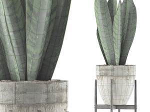 plants collection 104 3Dモデル