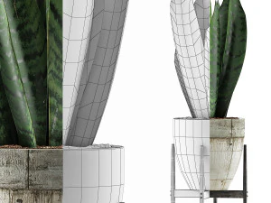 식물 수집 104 3D 모델