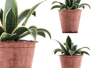 plants collection 105 3D Model