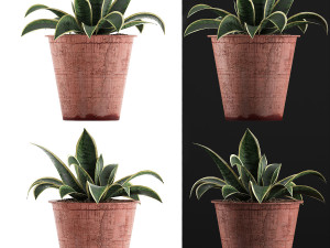 plants collection 105 3D 模型