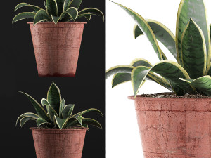 plants collection 105 3D 模型