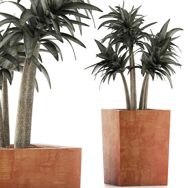 plants collection 106 3D 模型 .c4d .max .obj .3ds .fbx .stl .blend 