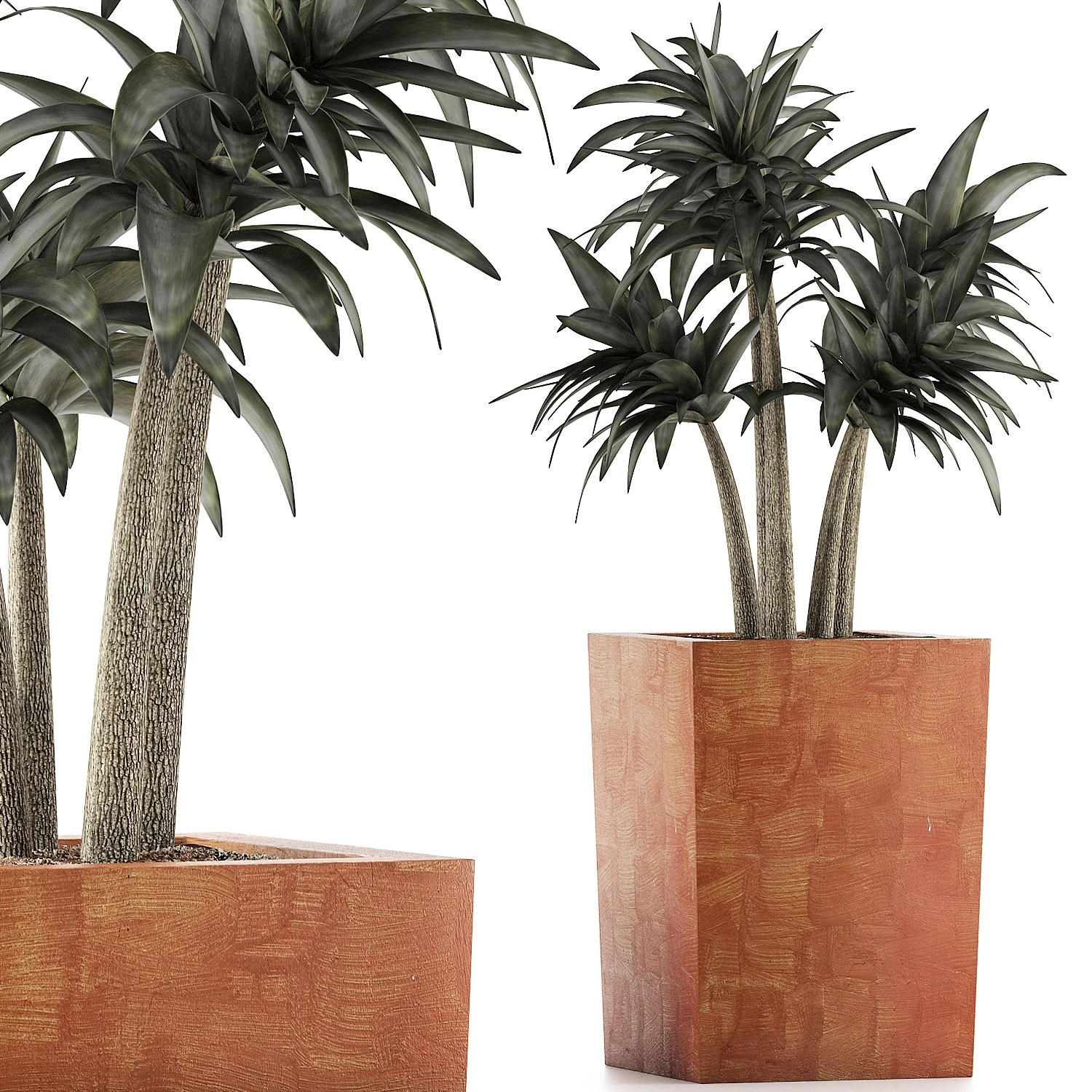 plants collection 106 3D Model .c4d .max .obj .3ds .fbx .stl .blend 