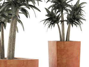 plants collection 106 3D Model