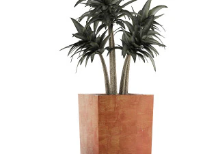 plants collection 106 3D Model