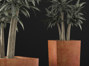 plants collection 106 3D 模型