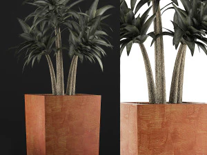 plants collection 106 3D Model