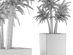 plants collection 106 3D 模型