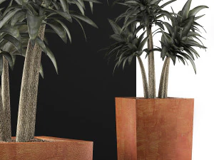 plants collection 106 3D Model