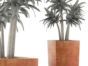 plants collection 106 3D 模型