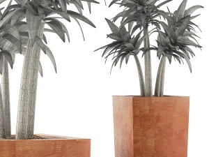 plants collection 106 3D Model