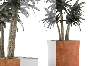plants collection 106 3D 模型