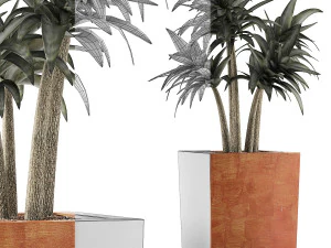 plants collection 106 3D Model
