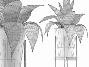 plants collection 107 3D Модель