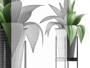 plants collection 107 3D Модель