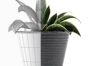 plants collection 108 3D Model