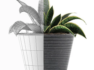 plants collection 108 3D Model