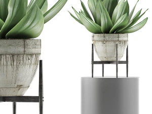 raccolta piante 109 Modello 3D