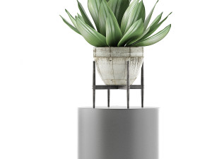 plants collection 109 Modelo 3D