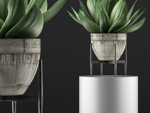 plants collection 109 Modelo 3D