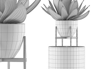 plants collection 109 Modelo 3D