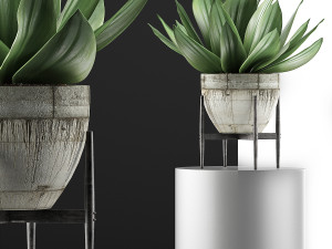 plants collection 109 Modelo 3D